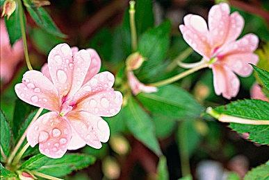 最强游戏引擎仍将继续进化 Epic已开始布局虚幻6